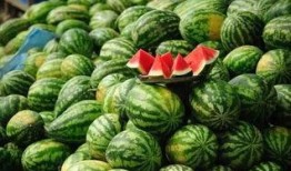 网红吃瓜黑料曝光网 吃瓜ppt,网传PPT曝光背后的真相